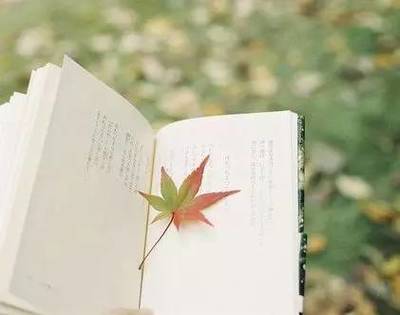 读书，也是一种旅行——企业管理视角下的阅读智慧