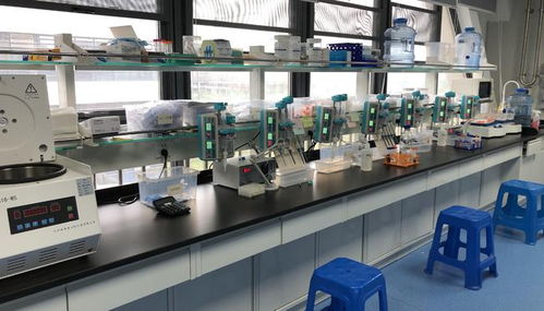 早筛创新与科技融合，天浚元生生物获国高生物战投，领跑教育科技软件研发新赛道